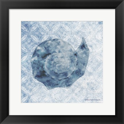 Framed Seashell II Print