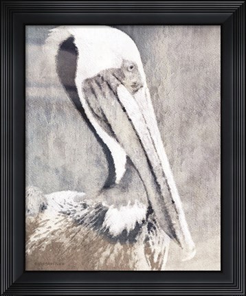 Framed Pelican Print