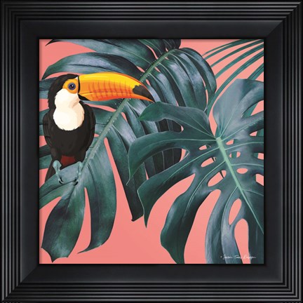 Framed Toucan Print