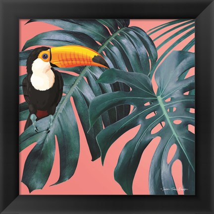 Framed Toucan Print