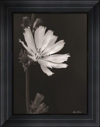 Framed Flower Petal Wishes Print