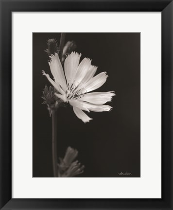 Framed Flower Petal Wishes Print