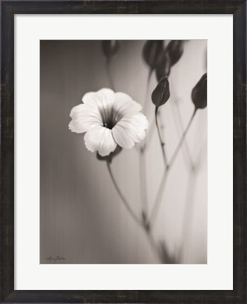Framed Blossoming Soul Print
