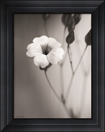 Framed Blossoming Soul Print