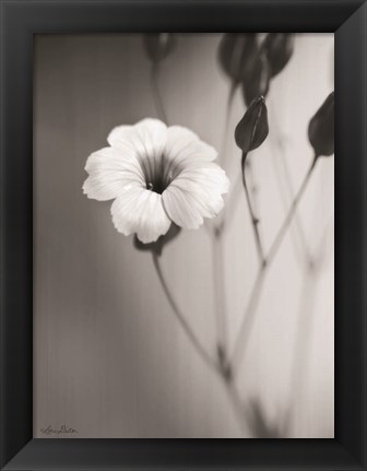 Framed Blossoming Soul Print