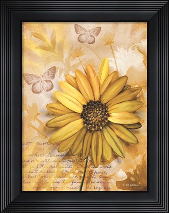 Framed Flower &amp; Butterflies II Print