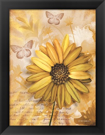 Framed Flower &amp; Butterflies II Print