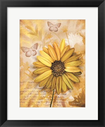 Framed Flower &amp; Butterflies II Print