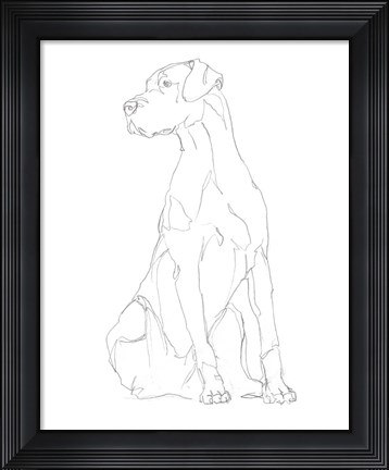 Framed Dog Contour II Print