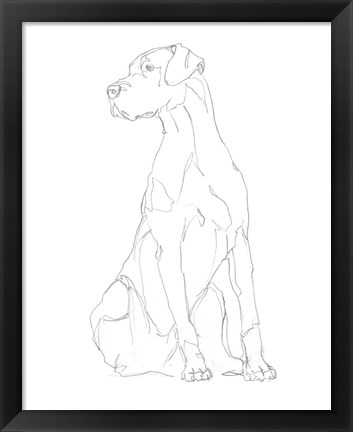 Framed Dog Contour II Print