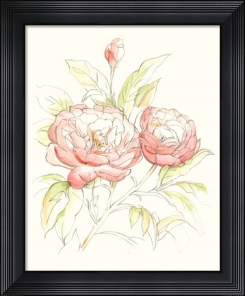 Framed Watercolor Floral Variety II Print