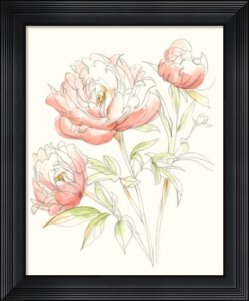 Framed Watercolor Floral Variety III Print