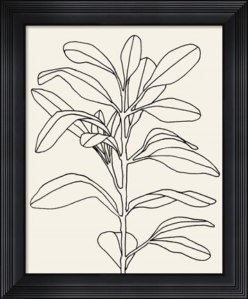 Framed Olive Branch Contour I Print