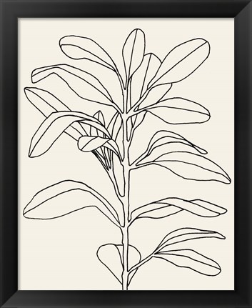 Framed Olive Branch Contour I Print