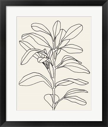 Framed Olive Branch Contour I Print