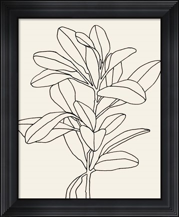 Framed Olive Branch Contour II Print