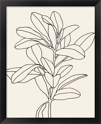 Framed Olive Branch Contour II Print