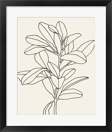 Framed Olive Branch Contour II Print