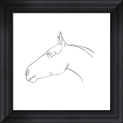 Framed Equine Pencil Contour I Print