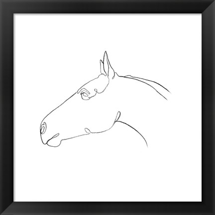 Framed Equine Pencil Contour I Print