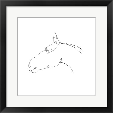 Framed Equine Pencil Contour I Print