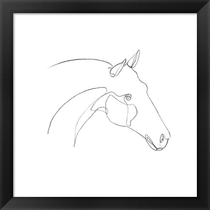 Framed Equine Pencil Contour II Print