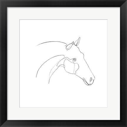 Framed Equine Pencil Contour II Print