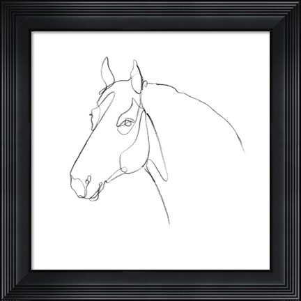 Framed Equine Pencil Contour III Print