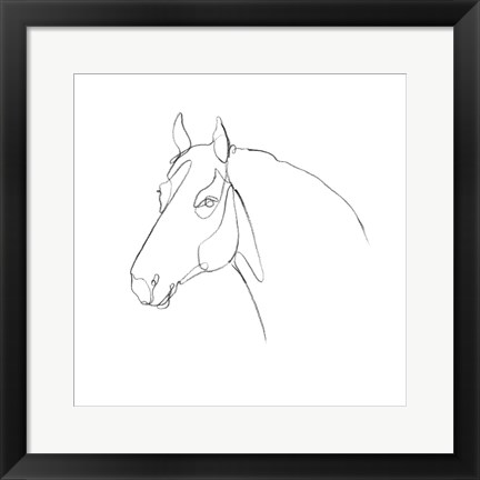 Framed Equine Pencil Contour III Print