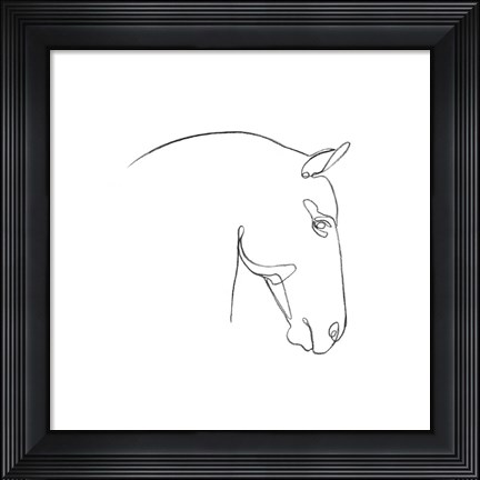 Framed Equine Pencil Contour IV Print