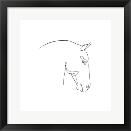 Framed Equine Pencil Contour IV Print