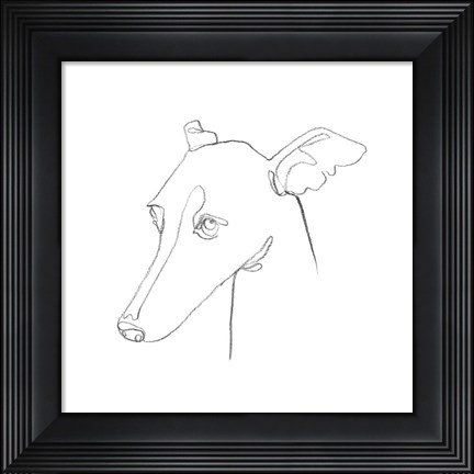 Framed Greyhound Pencil Portrait I Print