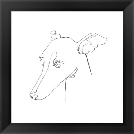 Framed Greyhound Pencil Portrait I Print