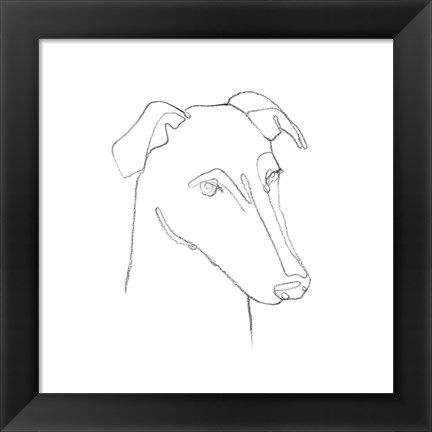 Framed Greyhound Pencil Portrait II Print