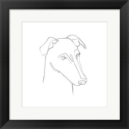 Framed Greyhound Pencil Portrait II Print