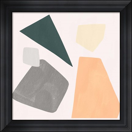 Framed Curio I Print