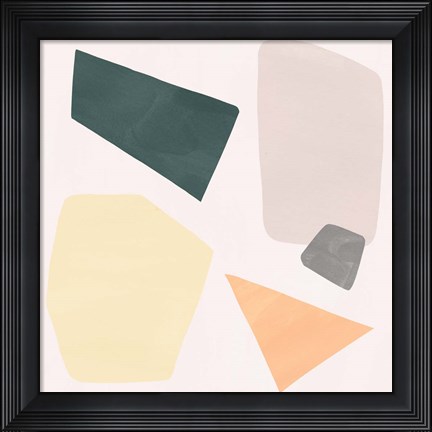 Framed Curio II Print