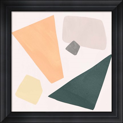 Framed Curio III Print