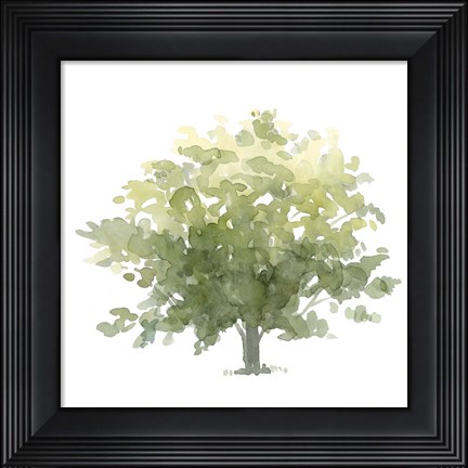 Framed Lonely Oak I Print