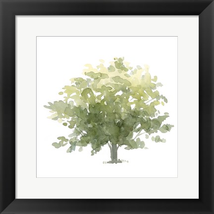 Framed Lonely Oak I Print