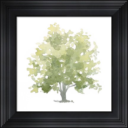 Framed Lonely Oak II Print