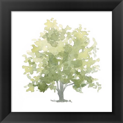 Framed Lonely Oak II Print