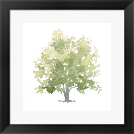 Framed Lonely Oak II Print