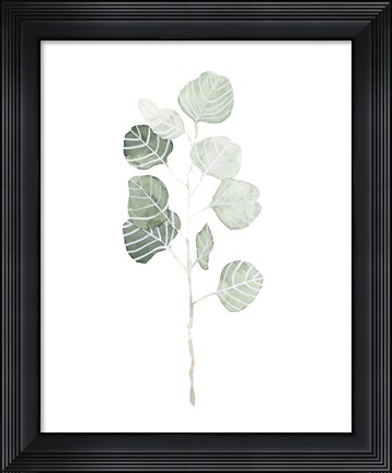 Framed Soft Eucalyptus Branch I Print