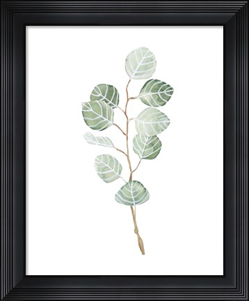 Framed Soft Eucalyptus Branch III Print