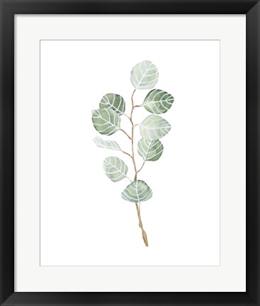 Framed Soft Eucalyptus Branch III Print