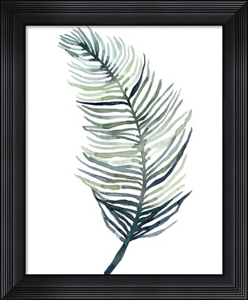 Framed Watercolor Palm Leaves II Print