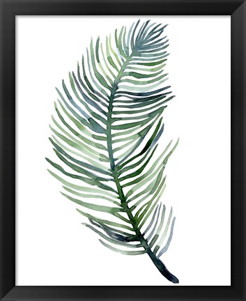 Framed Watercolor Palm Leaves III Print