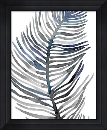 Framed Blue Feathered Palm III Print