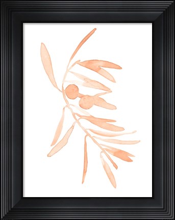 Framed Blush Olive Branch I Print